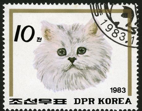 Tem mèo trắng được phát hành năm 1983.