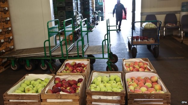 EU có thể thiệt hại 16 tỷ USD vì lệnh trừng phạt của Nga - 1 Nga ngày 7/8 đã ban hành các lệnh trừng phạt đối các mặt hàng thực phẩm nhập khẩu từ EU.