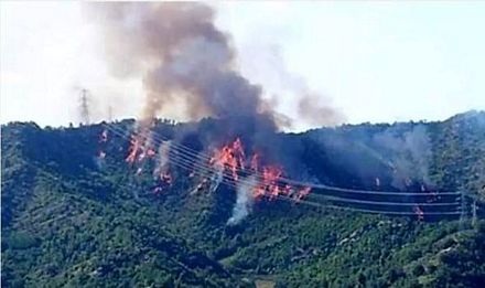 Hai chiến đấu cơ Ý đâm nhau trên không, 4 người mất tích - 4 Vụ tai nạn đã gây ra các đám cháy rừng.