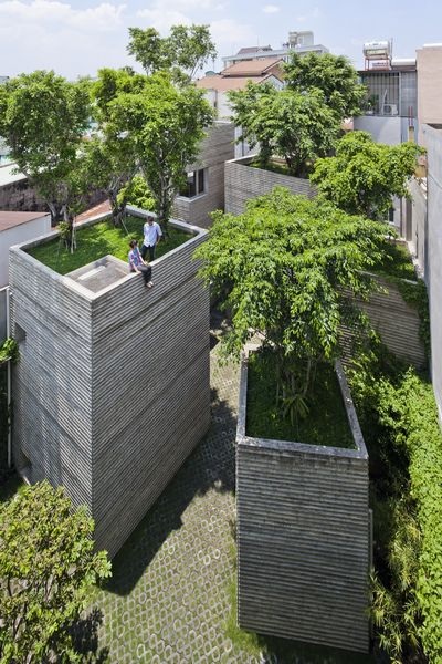 Công trình House for trees của công ty Võ Trọng Nghĩa.