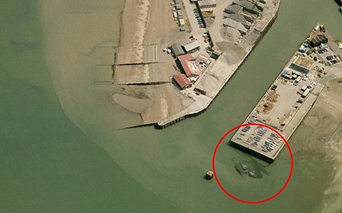 Cua khổng lồ dài 15m: Sự thật hay là trò đùa? - 1 Bức ảnh chụp con cua khổng lồ (Ảnh Weird Whitstable)