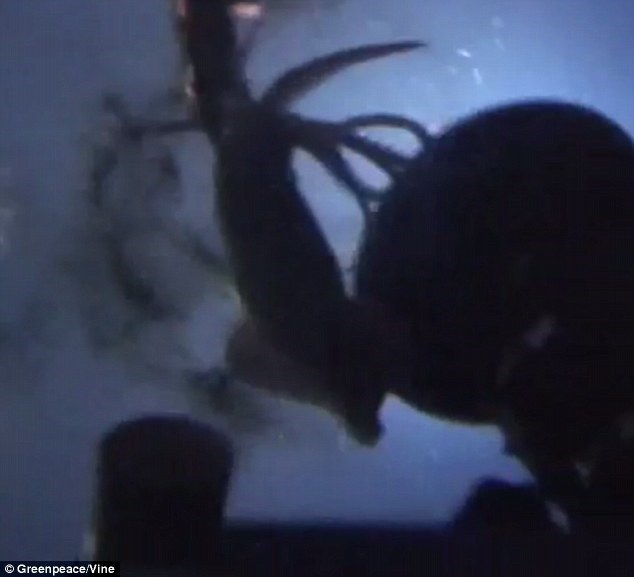 Con mực tấn công tàu ngầm.