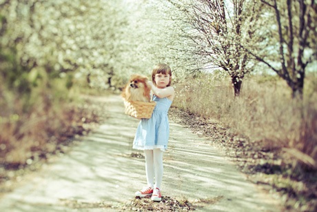 Dorothy trong Phù thủy xứ Oz