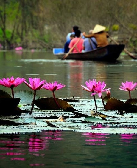 Thiếu nữ xinh đẹp lạc “miền cổ tích” suối Yến - 7 Cô gái xinh đẹp đắm mình trong dòng suối mát trong, lãng mạn