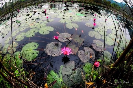 Thiếu nữ xinh đẹp lạc “miền cổ tích” suối Yến - 15 Miền cổ tích ở suối Yến khiến thiếu nữ chẳng muốn bước về…