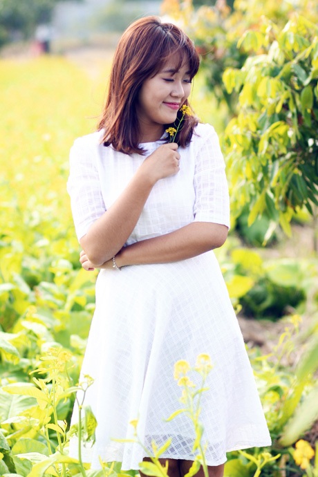 Trong tiết trời nắng đẹp và có chút se lạnh đầu đông, cảnh vật ở vườn cải càng trở nên lãng mạn hơn