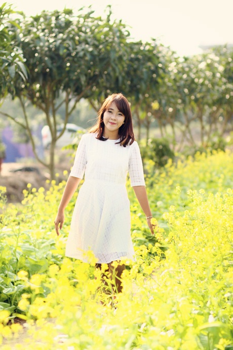 Dạo chơi giữa những luống hoa vàng ruộm