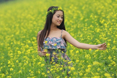 “Ong vàng” Thúy Quỳnh khoe sắc giữa thảm cải vàng - 1 Hoài Thư