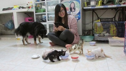 Đội cứu trợ động vật Đà Nẵng - 1 Đội cứu trợ động vật Đà Nẵng