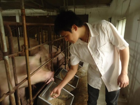 Chàng trai trẻ nuôi lợn thành tỉ phú - 1 Nguyễn Qúy Hào tại trang trại.