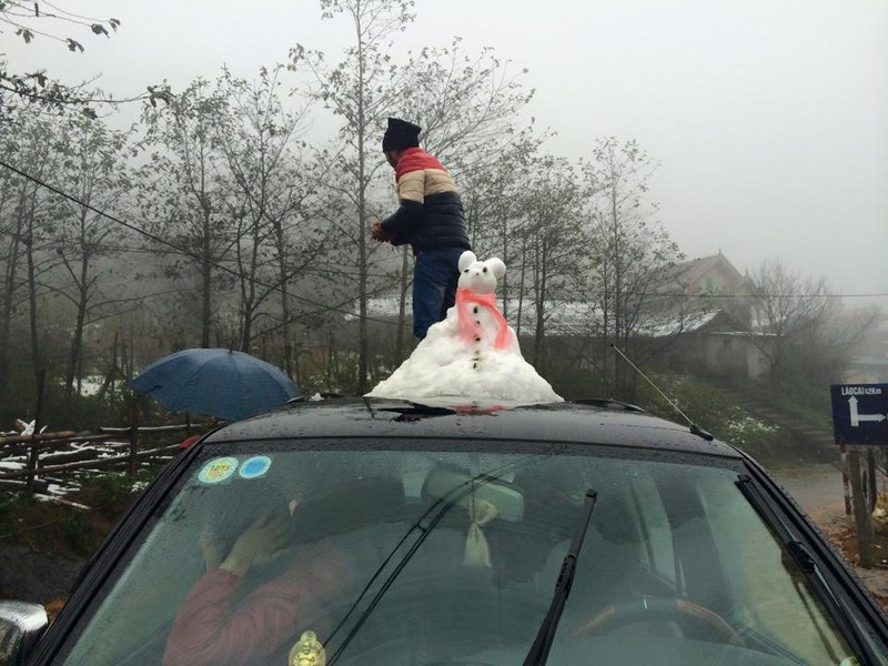 Xây chuột tuyết trên nóc ô tô.