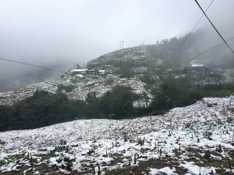 Cảnh tượng Sapa được phủ lớp tuyết khiến bạn trẻ thủ đô không thể cầm lòng