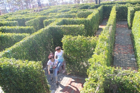 Các bạn trẻ cùng ghi lại những khoảng khắc đáng nhớ nhân dịp Ngày lễ tình nhân 14/2