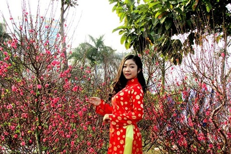 Bạn trẻ Đà Nẵng rạng rỡ bên đường hoa Tết - 10 Hoa đào giữa miền Trung