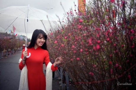 Bộ ảnh thiếu nữ Hà thành rạng rỡ du xuân phố cổ - 14 Thu Lệ