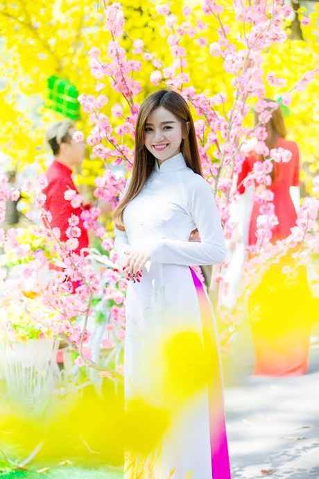 Ngôi sao thời trang Lê Hạ Anh rực rỡ bên mai vàng đón xuân - 12 Hoài Thư