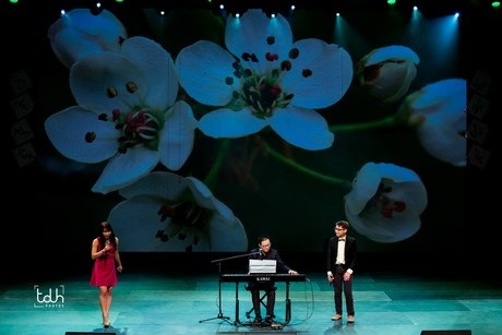 Đặc sắc kịch “Táo quân” đón Tết của SV Việt ở Ottawa - 10 Những điệu múa quạt dàn dựng công phu.