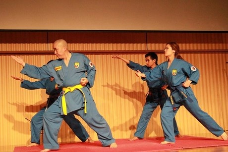 Long hổ quyền đầy mạnh mẽ của Vovinam.
