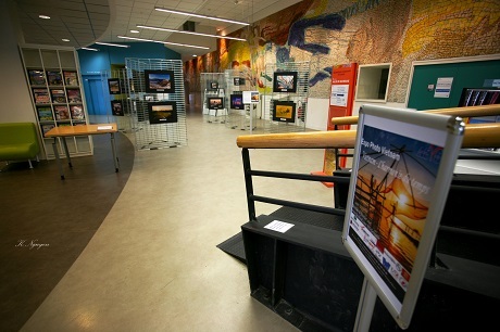 Làng đào Nhật Tân mùa đón Tết (Tác giả: Phúc Hưng)