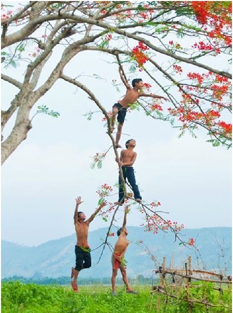 Ngắm ảnh Việt Nam thanh bình, đầy “mời gọi” trên đất Pháp - 10 Quê hương tuổi thơ tôi (Tác giả: Trần Bảo Hòa).