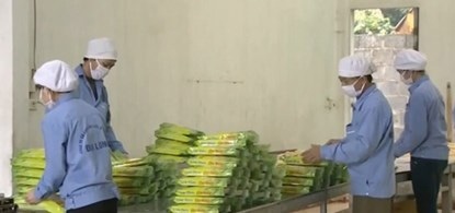 Tỷ phú thu nhập 12 tỷ mỗi năm từ cơm cháy - 3 Công nhân đang gấp rút đóng gói cơm cháy để giao hàng tới cơ sở