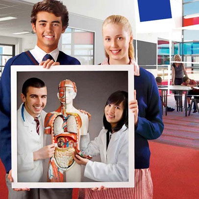 II. Hỗ trợ của công ty Đức Anh: