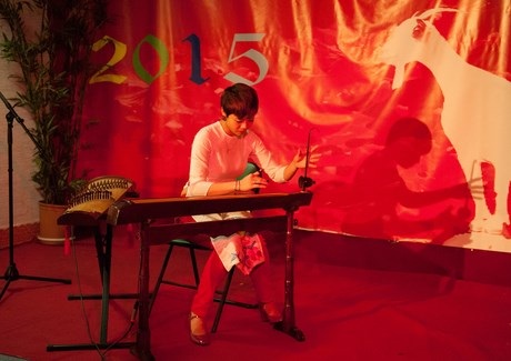 Đàn bầu trống cơm.