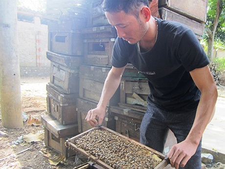 Ba “cây” sáng kiến chân đất - 2 Anh Trần Xuân Phong.