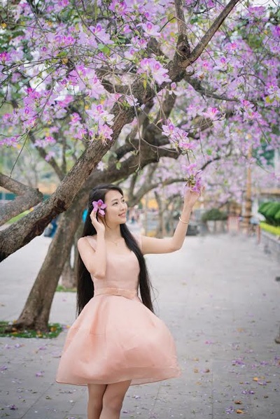 Thiếu nữ Hà thành dịu dàng dưới tán hoa ban - 3 Hoài Thư