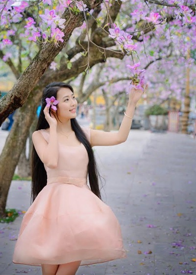 Thiếu nữ Hà thành dịu dàng dưới tán hoa ban - 5 Hoài Thư