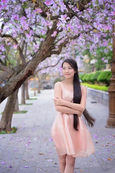 Thiếu nữ Hà thành dịu dàng dưới tán hoa ban - 8 Hoài Thư