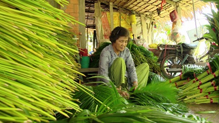 Chàng trai kiếm 5 tỷ/năm từ lá cây - 3 Công nhân trong xưởng đang phân loại lá trước khi xuất bán