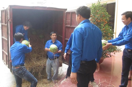 Đoàn viên, thanh niên hồ hởi tiếp sức cho nông dân trồng dưa - 2 Đoàn viên, thanh niên hồ hởi tiếp sức cho nông dân trồng dưa