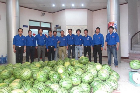 Đoàn viên, thanh niên hồ hởi tiếp sức cho nông dân trồng dưa - 5 B.N