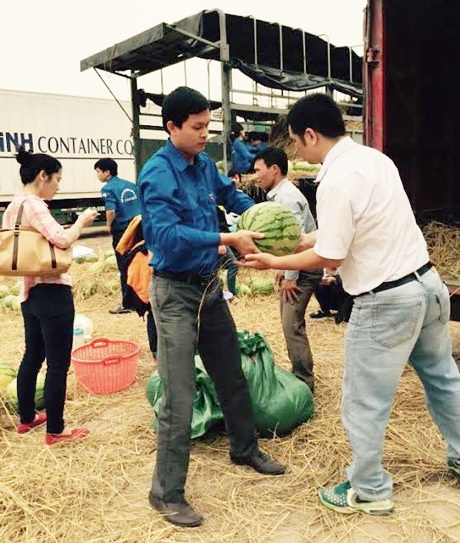 Đoàn viên, thanh niên hồ hởi tiếp sức cho nông dân trồng dưa - 1 Đoàn viên, thanh niên hồ hởi tiếp sức cho nông dân trồng dưa