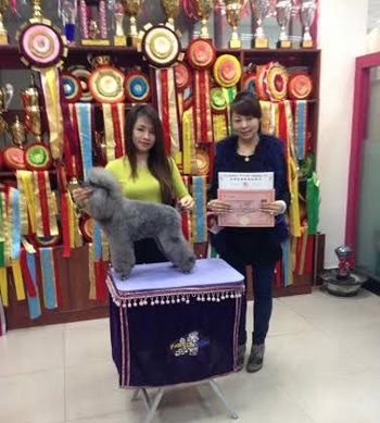Kiếm bội tiền từ nghề “spa” cho chó - 1 Nguyễn Thùy Linh (trái) tốt nghiệp khóa học chăm sóc làm đẹp chó, mèo tại Trung Quốc.