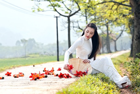 Thiếu nữ Hà thành nền nã, dịu dàng bên sắc hoa gạo - 2 Hoài Thư