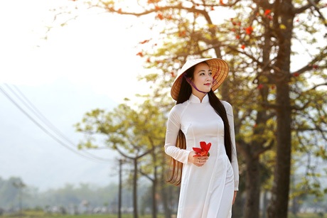 Thiếu nữ Hà thành nền nã, dịu dàng bên sắc hoa gạo - 5 Hoài Thư