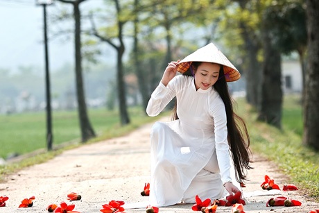 Thiếu nữ Hà thành nền nã, dịu dàng bên sắc hoa gạo - 8 Hoài Thư