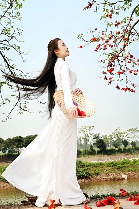 Thiếu nữ Hà thành nền nã, dịu dàng bên sắc hoa gạo - 12 Hoài Thư