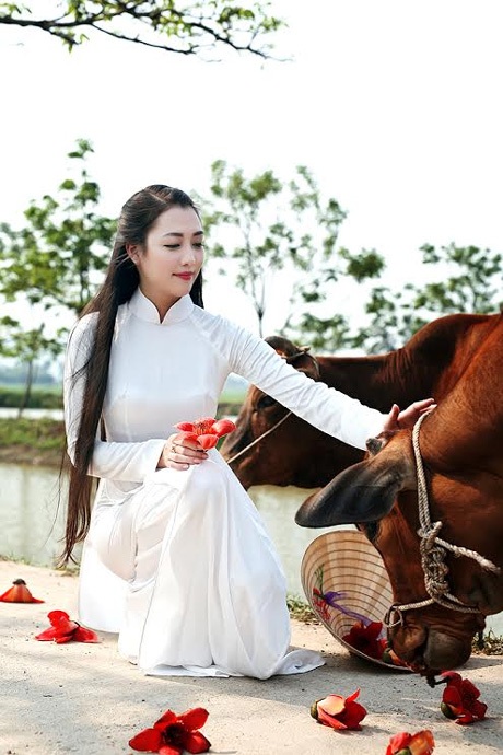 Thiếu nữ Hà thành nền nã, dịu dàng bên sắc hoa gạo - 15 Hoài Thư