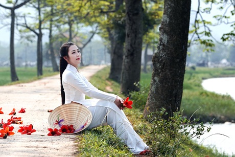 Thiếu nữ Hà thành nền nã, dịu dàng bên sắc hoa gạo - 16 Hoài Thư