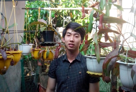 Cây nắp ấm của Vương - 1 Đặng Long Vương và những cây nắp ấm nhân giống trong vườn nhà.
