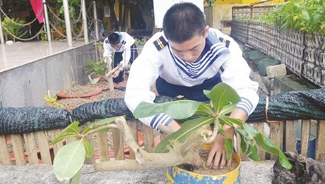 “Xanh” giữa trùng khơi - 1 “Xanh” giữa trùng khơi