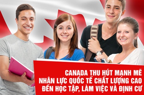 Nhân lực quốc tế - Nhu cầu lớn của Canada trong tương lai gần - 3 Về cơ hội học tập