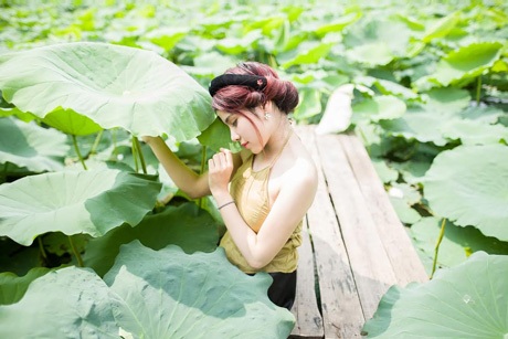 Nữ thủ khoa xinh đẹp ĐH Văn hóa e ấp bên sen đầu mùa - 4 Hoài Thư