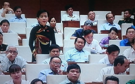 Bộ trưởng Bộ Giáo dục: Phản ứng về Thông tư 30 chỉ là “trục trặc” bước đầu - 2 Đại biểu Nguyễn Kim Thúy