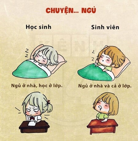 9 điều khác biệt giữa học sinh và sinh viên - 6 Học sinh ngủ ở nhà và học ở lớp, còn sinh viên thì ngủ ở cả hai nơi