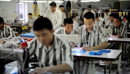 Nhát cuốc oan nghiệt, đánh mất tuổi xuân - 1 Các phạm nhân trong trại giam Yên Hạ tham gia lao động cải tạo. Ảnh: Xuân Tùng.