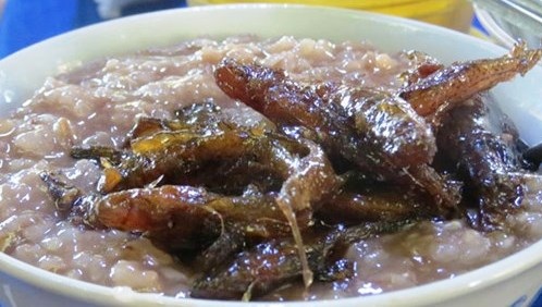 Cháo gạo đỏ cá bống thệ - món ngon Huế xưa - 1 Cháo gạo đỏ cá bống thệ - món ngon của Huế